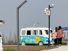 -杭州湾海上花田景区