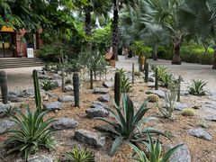 -中国科学院西双版纳热带植物园