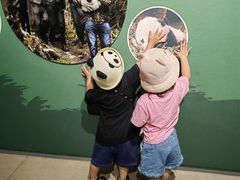 -中国大熊猫保护研究中心雅安碧峰峡基地