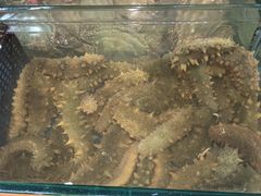 -岳各庄批发市场(西四环中路店)