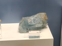 -重庆自然博物馆(新馆)