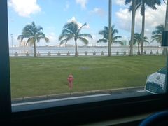 -粤湘情(珠海海泉湾店)