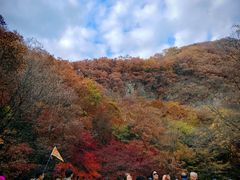 -关门山森林公园