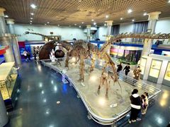 -国家自然博物馆