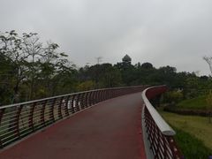 -王借岗森林公园