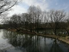 -西溪国家湿地公园