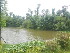 -东岳体育公园