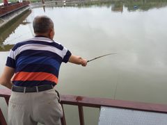 -向葡萄庄园
