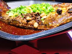 -马邦子·紫苏烤鱼(恒隆广场店)