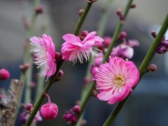 -瓦库茶馆17号(海汇港店)