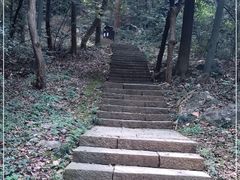 -九曜山