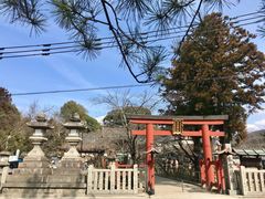 -奈良公园