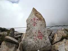 景点-朱雀国家森林公园