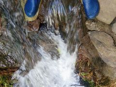 -羚羊峡古栈道森林公园