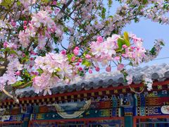 -天坛公园