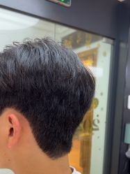 -藤野造型