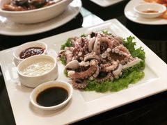 白灼活八爪鱼-72号海鲜私房菜
