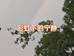 -长广溪湿地公园