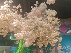 -毡房姑娘·新疆菜·烧烤