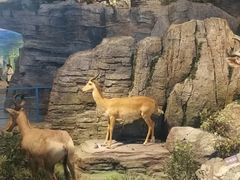 -陕西自然博物馆