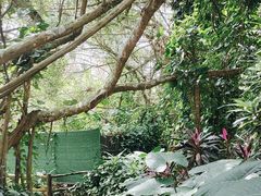 -海南热带野生动植物园