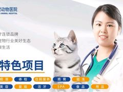 -芭比堂动物医院·24小时·眼科中心(深圳中心)
