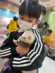 -Moni星球萌宠·小马宝莉·灵蛇·高端高阶全萌宠互动体验俱乐部(红豆国际广场店)