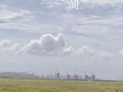 -南汇嘴观海公园