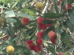 -千峡湖生态旅游度假区