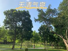 -莲花山公园
