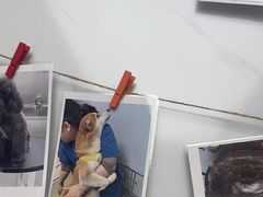 -瑞派康怡24h宠物医院·犬猫医疗中心·微创绝育(瑞景分院)