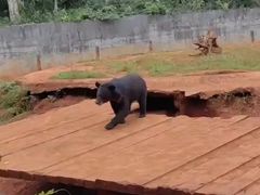 -海南热带野生动植物园