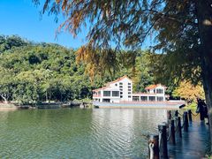 -深圳仙湖植物园