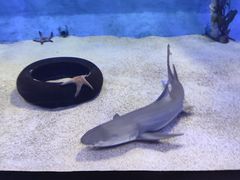 -太平洋海底世界