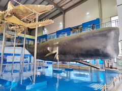 -上海海洋大学鱼文化博物馆(军工路校区)