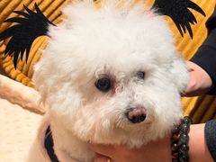 -虫二茶事(彭家巷店)