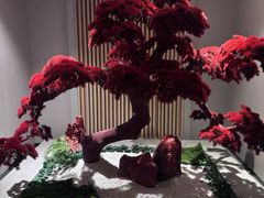 -东吴水韵(吴中店)