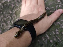 -宁波市保国寺古建筑博物馆