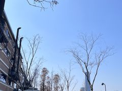 -富淳饭店(陆家嘴保利广场店)