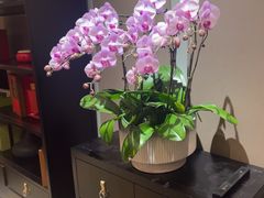 -富淳饭店(世纪公园店)