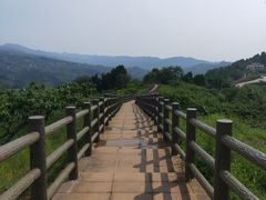 -三圣花乡旅游区