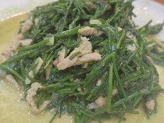 -土菜水饺村(宁夏路店)