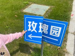 -贡湖湾湿地公园
