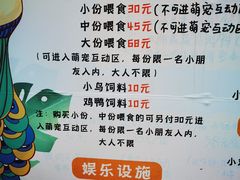 -前小桔亲子创意农场·草莓采摘·露营烧烤
