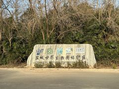-盐城丹顶鹤湿地生态旅游区