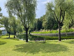 -上海滨江森林公园