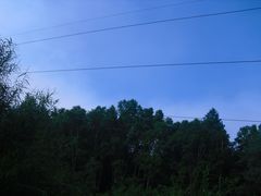 -五营红松林海景区