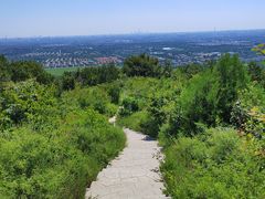 -北京西山国家森林公园