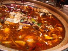 肥肠牛蛙砂锅-马头巷·食景园(苏州总店)
