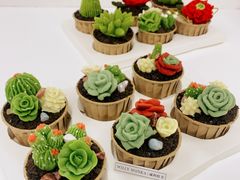 -威利旺卡烘焙西点蛋糕培训(朝阳校区)